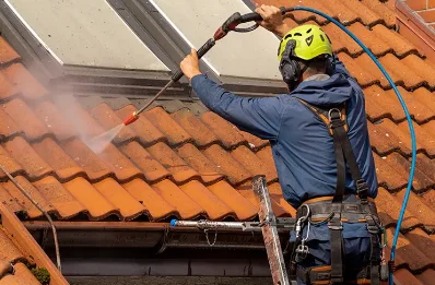 Démoussage et hydrofuge de toiture à Aussonce